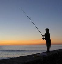 Pescando